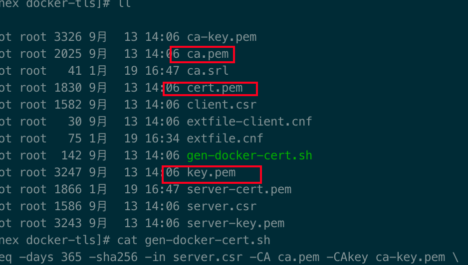 ecp_docker_tls