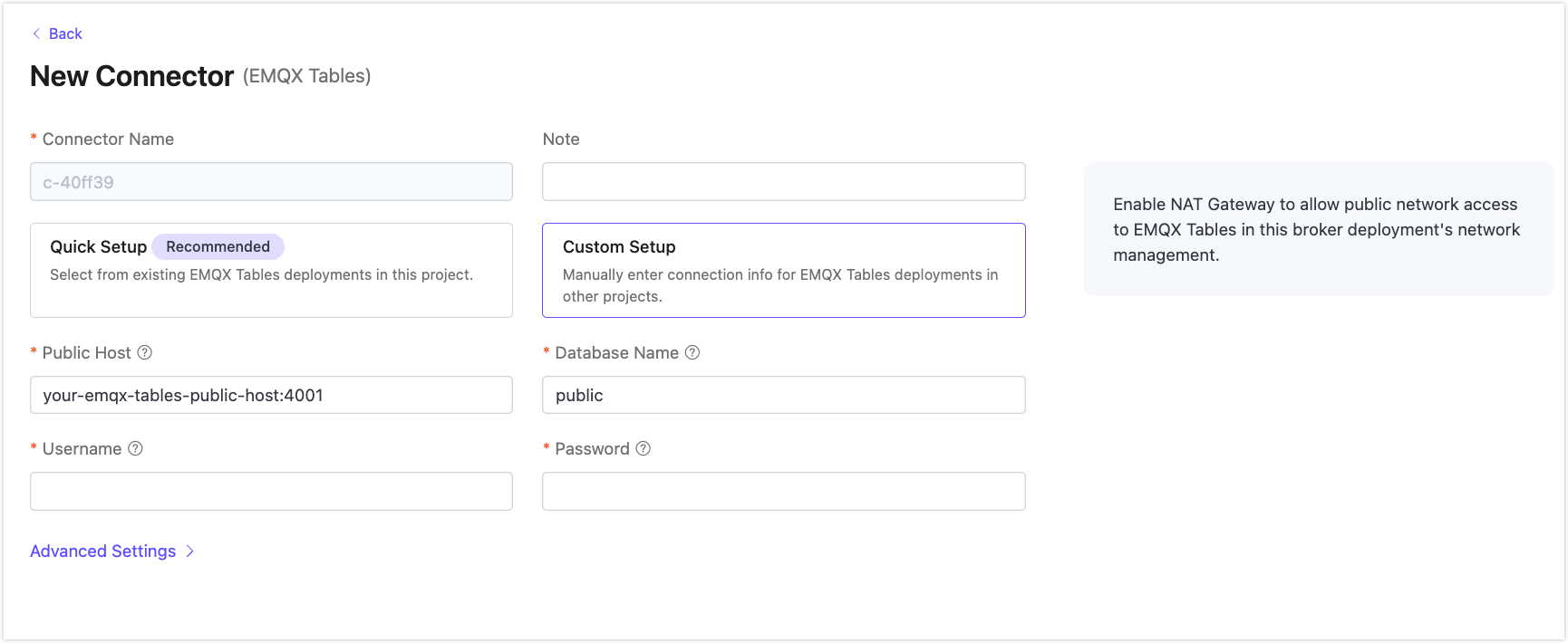 emqx_tables_connector_custom_setup