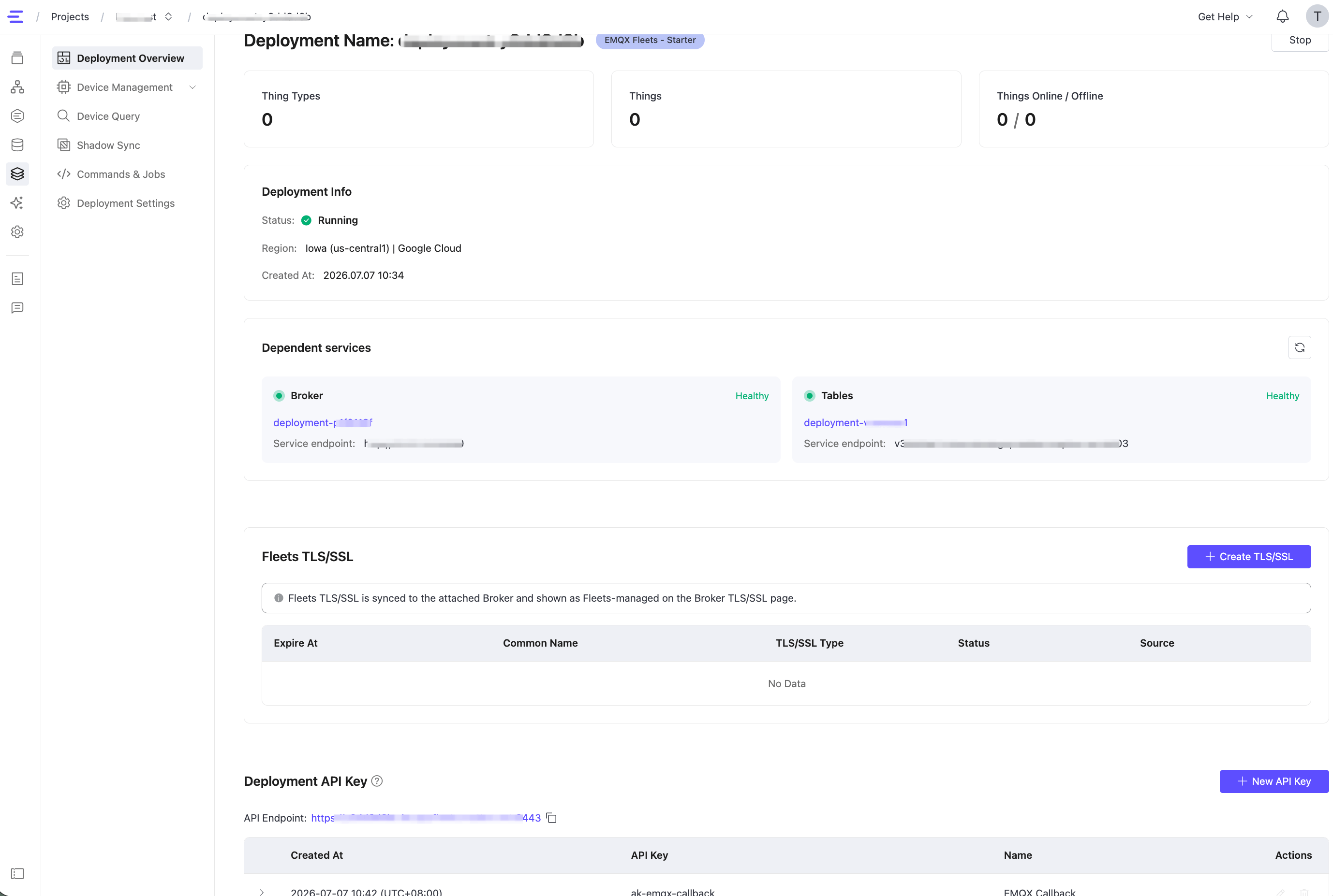 fleets_deployment_overview