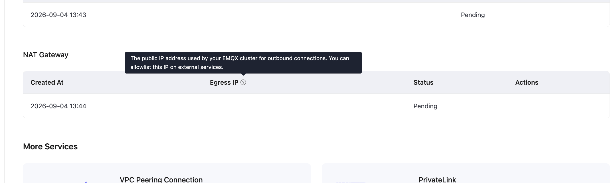 NAT Gateway Egress IP and usage tip